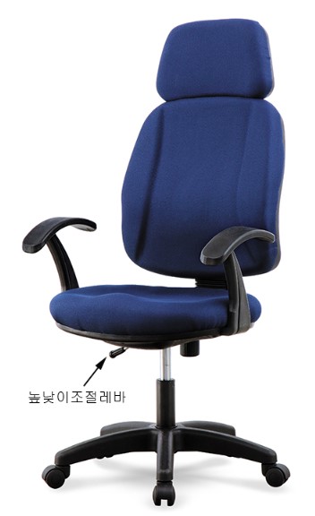 베스타 레자 대/중